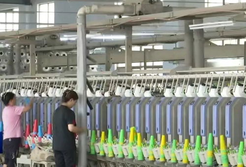 阜寧 智能制造引領(lǐng) 專精特新 梯隊