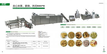 新款休閑膨化食品生產(chǎn)設(shè)備